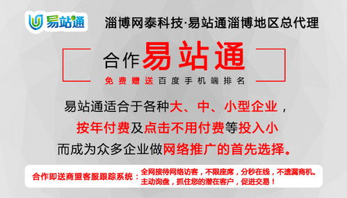 臨淄網絡推廣服務專家 淄博網泰科技引領企業數字化轉型